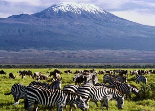 3 Days Amboseli Adventure