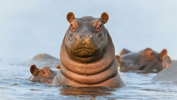 Uganda