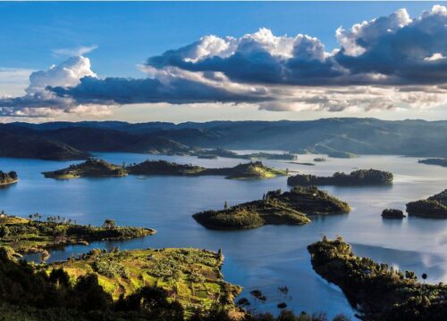 Top 10 Safari Destinations in Africa for First-Time Travelers