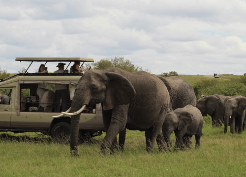 Kenya’s Premier National Parks & Game Reserves